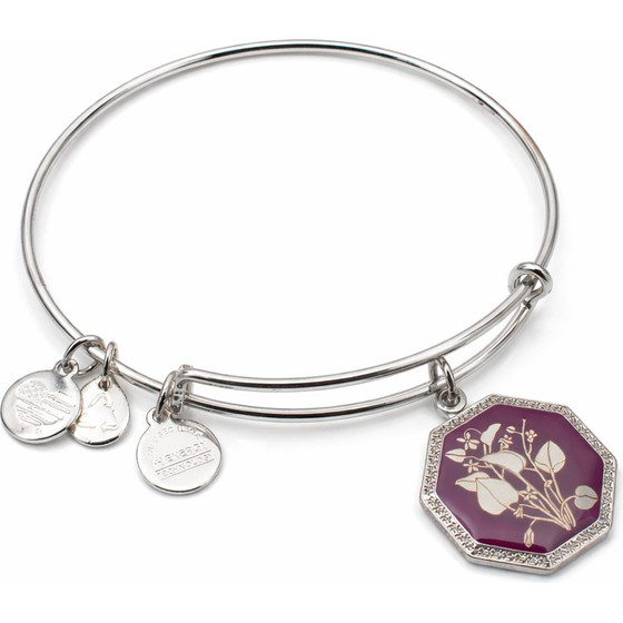 Alex And Ani Bracelet Women (20CM ) - (A14EB90SS)