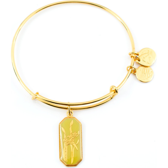 Alex And Ani Bracelet Women (20CM ) - (A14EB96YG)