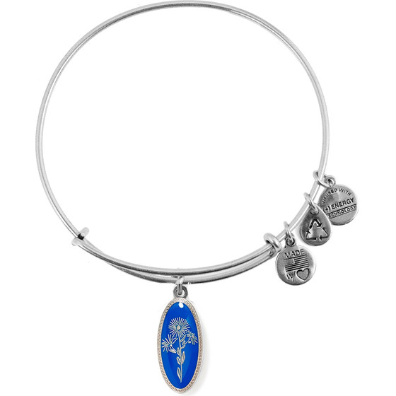 Alex And Ani Bracelet Women (20CM ) - (A14EB97SS)