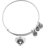 Alex And Ani Bracelet Women (20CM ) - (A15EB01SS)