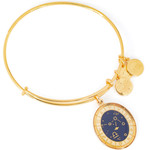 Alex And Ani Bracelet Women (20CM ) - (A15EB64YG)