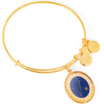 Alex And Ani Bracelet Women (20CM ) - (A15EB65YG)