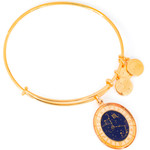 Alex And Ani Bracelet Women (20CM ) - (A15EB67YG)