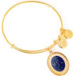 Alex And Ani Bracelet Women (20CM ) - (A15EB68YG)