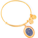 Alex And Ani Bracelet Women (20CM ) - (A15EN38YG)
