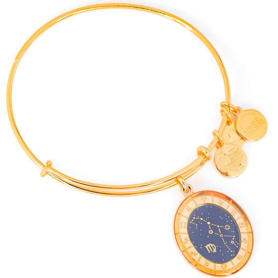 Alex And Ani Bracelet Women (20CM ) - (A15EN40YG)