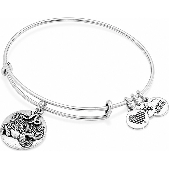 Alex And Ani Bracelet Women (20CM ) - (A16EB51RS)