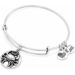 Alex And Ani Bracelet Women (20CM ) - (A16EB52RS)