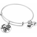 Alex And Ani Bracelet Women (20CM ) - (A16EB54RS)
