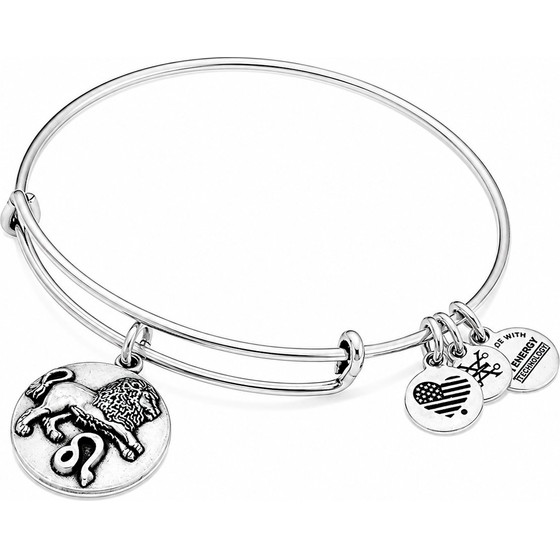 Alex And Ani Bracelet Women (20CM ) - (A16EB54RS)