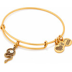 Alex And Ani Bracelet Women (20CM ) - (A16EB68RG)
