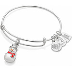 Alex And Ani Bracelet Women (20CM ) - (A16EB91SS)