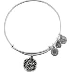 Alex And Ani Bracelet Women (20CM ) - (A16EBEKRS)