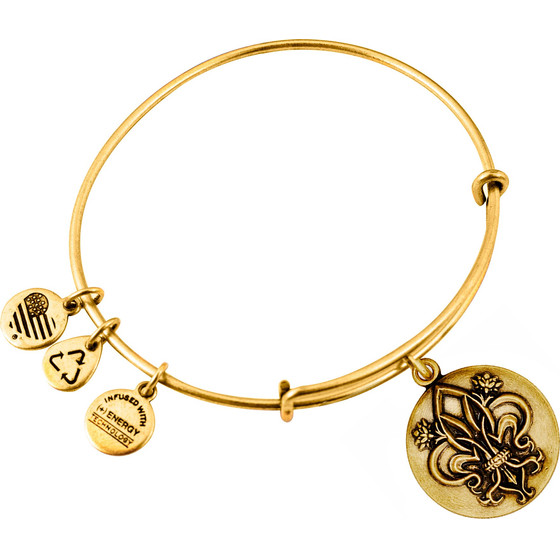 Alex And Ani Bracelet Women (20CM ) - (A16EBFDLRG)