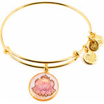 Alex And Ani Bracelet Women (20CM ) - (A16EBLPPYG)
