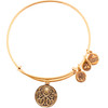 Alex And Ani Bracelet Women (20CM ) - (A16EBPOLRG)