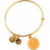 Alex And Ani Bracelet Women (20CM ) - (A16EBPOLYG)