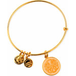 Alex And Ani Bracelet Women (20CM ) - (A16EBPOLYG)