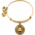 Alex And Ani Bracelet Women (20CM ) - (A16EBSCRG)