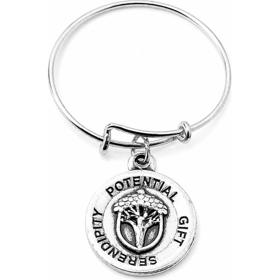 Alex And Ani Bracelet Women (20CM ) - (A16ERUMRS)
