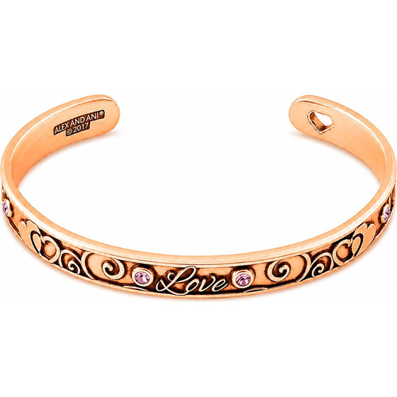 Alex And Ani Bracelet Women (20CM ) - (A17CF01ROG)