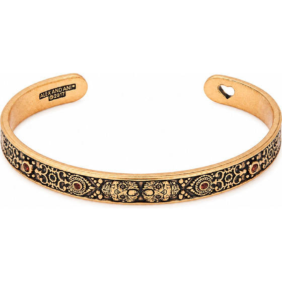 Alex And Ani Bracelet Women (20CM ) - (A17CFCVRG)