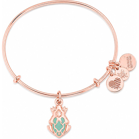 Alex And Ani Bracelet Women (20CM ) - (A17EB03SR)