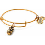 Alex And Ani Bracelet Women (20CM ) - (A17EB26RG)