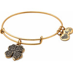 Alex And Ani Bracelet Women (20CM ) - (A17EB28RG)
