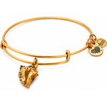 Alex And Ani Bracelet Women (20CM ) - (A17EB73RG)