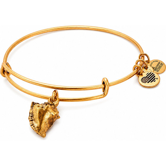 Alex And Ani Bracelet Women (20CM ) - (A17EB73RG)