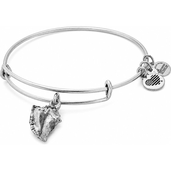 Alex And Ani Bracelet Women (20CM ) - (A17EB73RS)