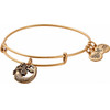 Alex And Ani Bracelet Women (20CM ) - (A17EB74RG)