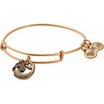 Alex And Ani Bracelet Women (20CM ) - (A17EB74RG)
