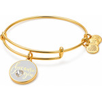 Alex And Ani Bracelet Women (20CM ) - (A17EBBILUSG)