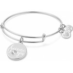 Alex And Ani Bracelet Women (20CM ) - (A17EBBILUSS)