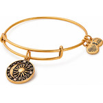 Alex And Ani Bracelet Women (20CM ) - (A17EBCBRG)