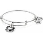 Alex And Ani Bracelet Women (20CM ) - (A17EBCRRS)