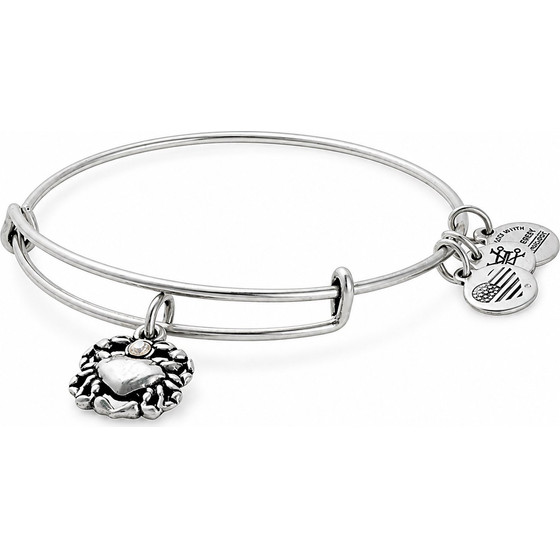 Alex And Ani Bracelet Women (20CM ) - (A17EBCRRS)