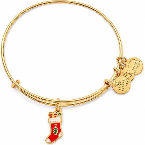 Alex And Ani Bracelet Women (20CM ) - (A17EBHOL03SG)