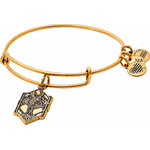 Alex And Ani Bracelet Women (20CM ) - (A17EBTOLRG)