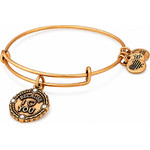 Alex And Ani Bracelet Women (20CM ) - (A18BILY04RG)