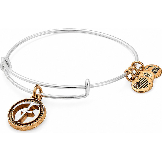 Alex And Ani Bracelet Women (20CM ) - (A18EBINT06TTR)