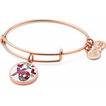 Alex And Ani Bracelet Women (20CM ) - (AS17RB02SR)