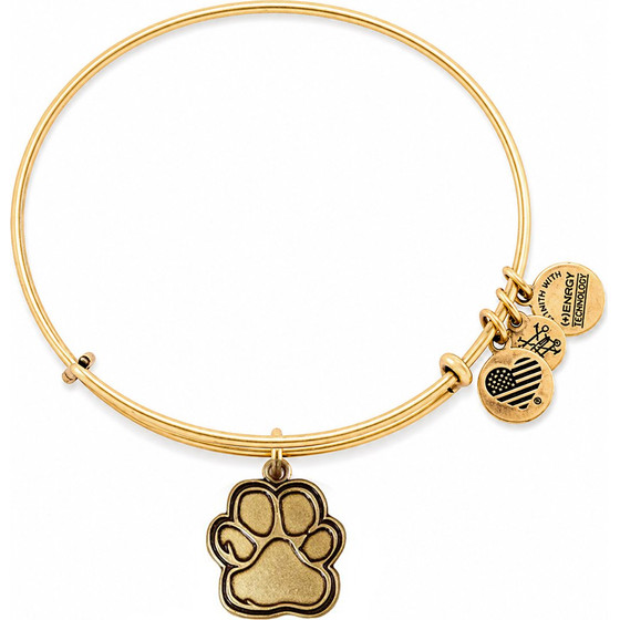 Alex And Ani Bracelet Women (20CM ) - (CBD14POLRG)