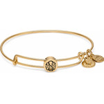 Alex And Ani Bracelet Women (20CM ) - (SSEWB04G)