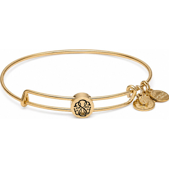Alex And Ani Bracelet Women (20CM ) - (SSEWB04G)