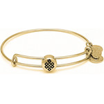 Alex And Ani Bracelet Women (20CM ) - (SSEWB06G)