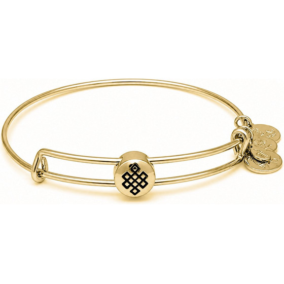 Alex And Ani Bracelet Women (20CM ) - (SSEWB06G)