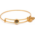 Alex And Ani Bracelet Women (20CM ) - (SSEWB10G)
